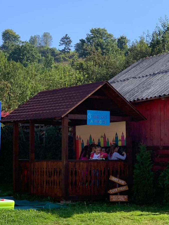 Pensiunea Simi Moisei Exterior foto
