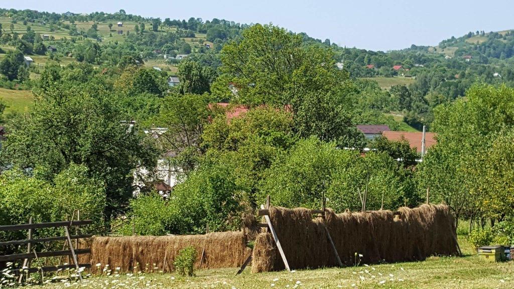 Pensiunea Simi Moisei Exterior foto